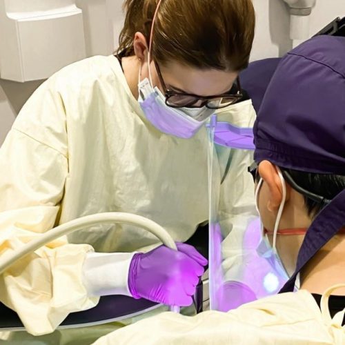 dentistry in peterborough
